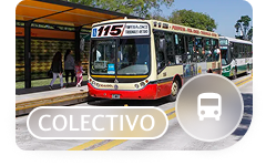 Colectivo